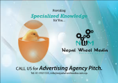 branding, egg, 